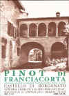 Pinot_franciacorta.jpg (48252 byte)