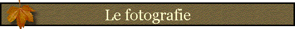 Le fotografie