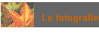 Le fotografie